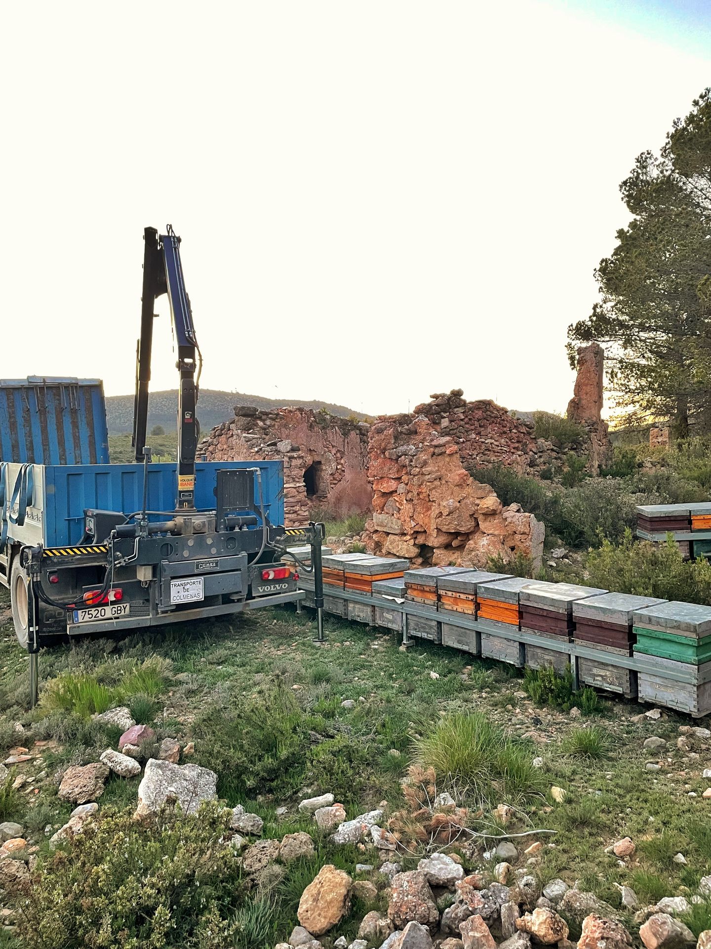 Colmenas de Miel El Molinar transportadas para su producción artesanal en Castellón